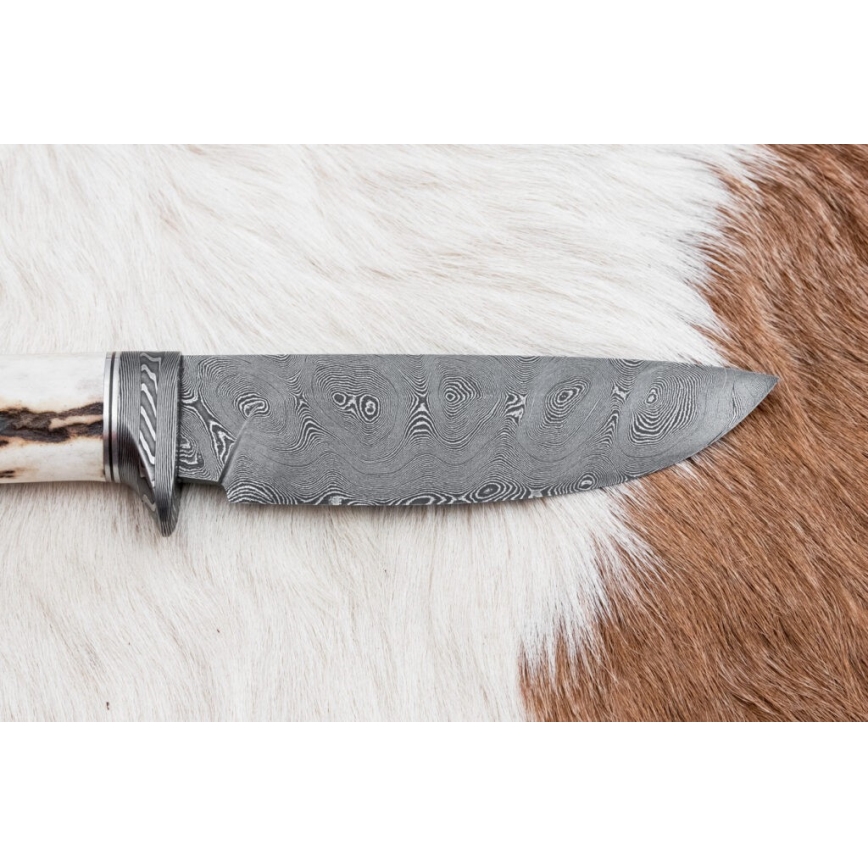 Coltello da caccia in damasco 11,8 cm noce/corno di cervo