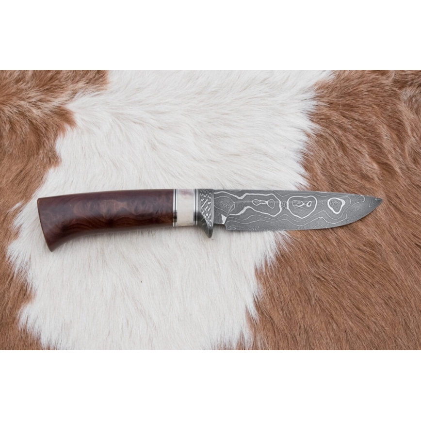 Coltello da caccia in damasco 12,4 cm Betulla/corna di renna