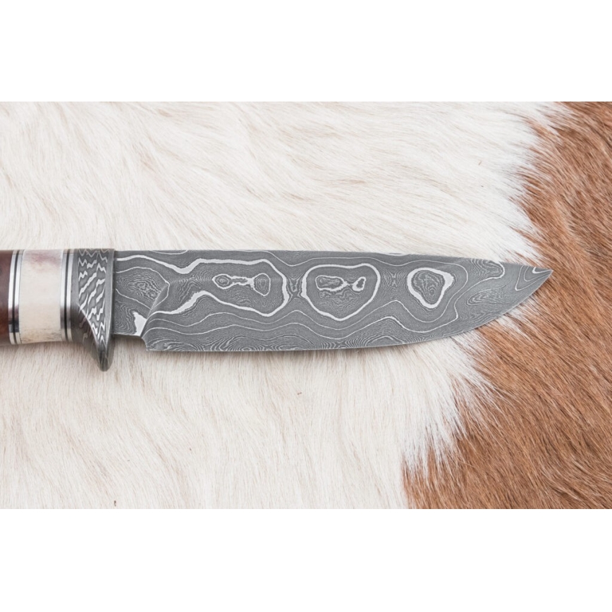 Coltello da caccia in damasco 12,4 cm Betulla/corna di renna