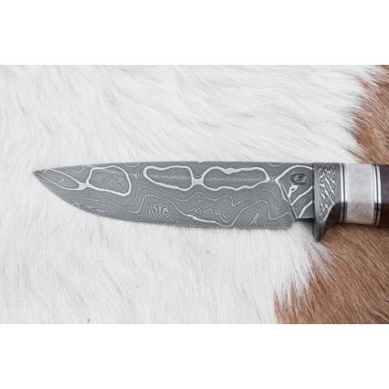 Coltello da caccia in damasco 12,4 cm Betulla/corna di renna