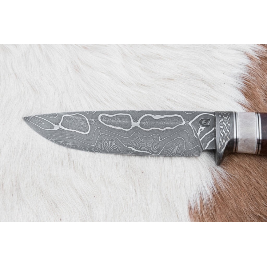 Coltello da caccia in damasco 12,4 cm Betulla/corna di renna