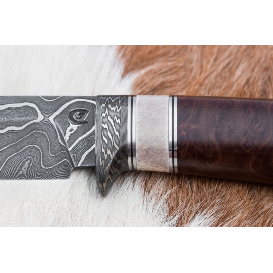 Coltello da caccia in damasco 12,4 cm Betulla/corna di renna