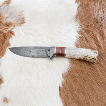 Coltello da caccia in damasco 12 cm cenere/corno di cervo