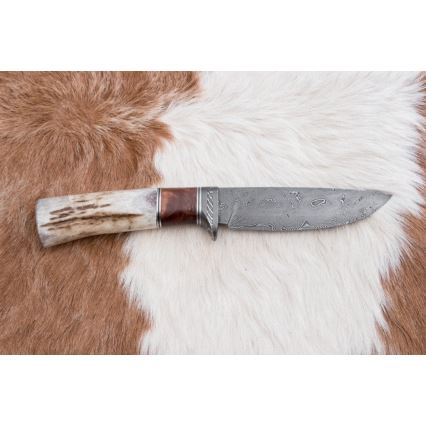 Coltello da caccia in damasco 12 cm cenere/corno di cervo