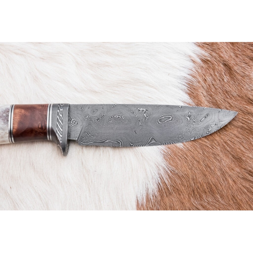 Coltello da caccia in damasco 12 cm cenere/corno di cervo