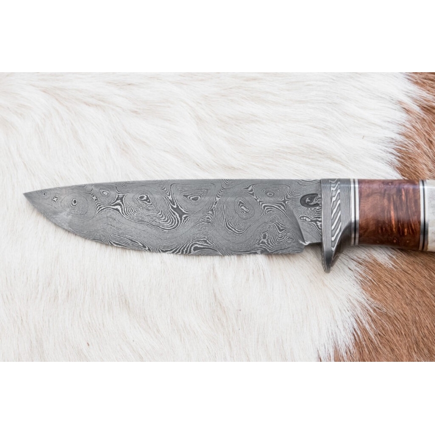 Coltello da caccia in damasco 12 cm cenere/corno di cervo