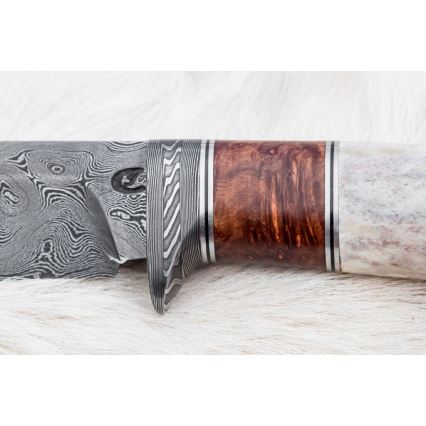 Coltello da caccia in damasco 12 cm cenere/corno di cervo