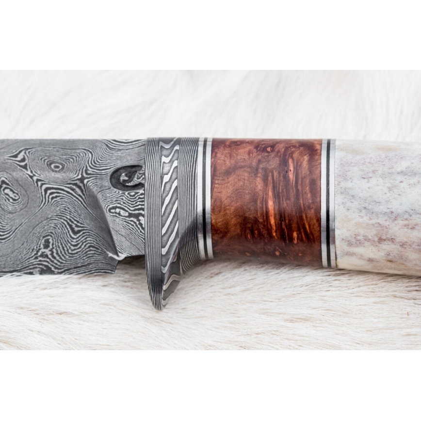 Coltello da caccia in damasco 12 cm cenere/corno di cervo