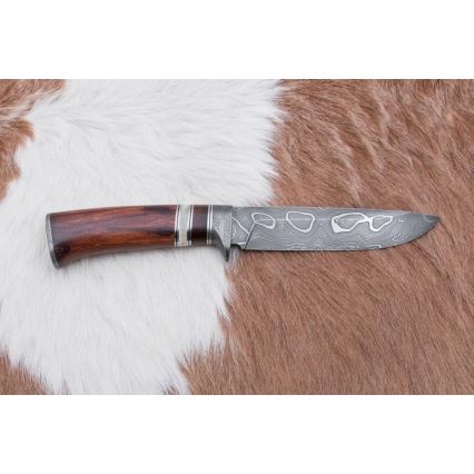 Coltello da caccia in damasco 13,8 cm ironwood/osso di bufalo