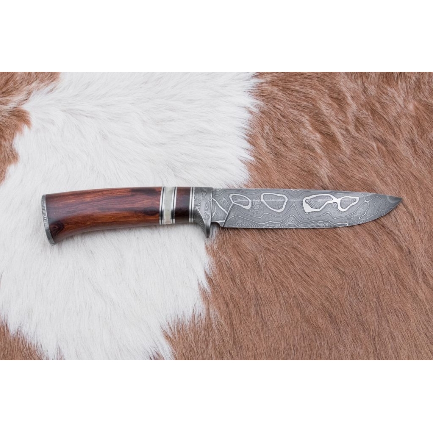 Coltello da caccia in damasco 13,8 cm ironwood/osso di bufalo