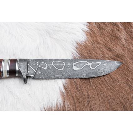 Coltello da caccia in damasco 13,8 cm ironwood/osso di bufalo