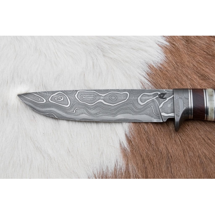 Coltello da caccia in damasco 13,8 cm ironwood/osso di bufalo