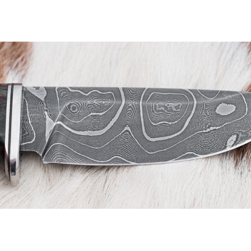 Coltello da caccia in damasco 9,7 cm noce/maple
