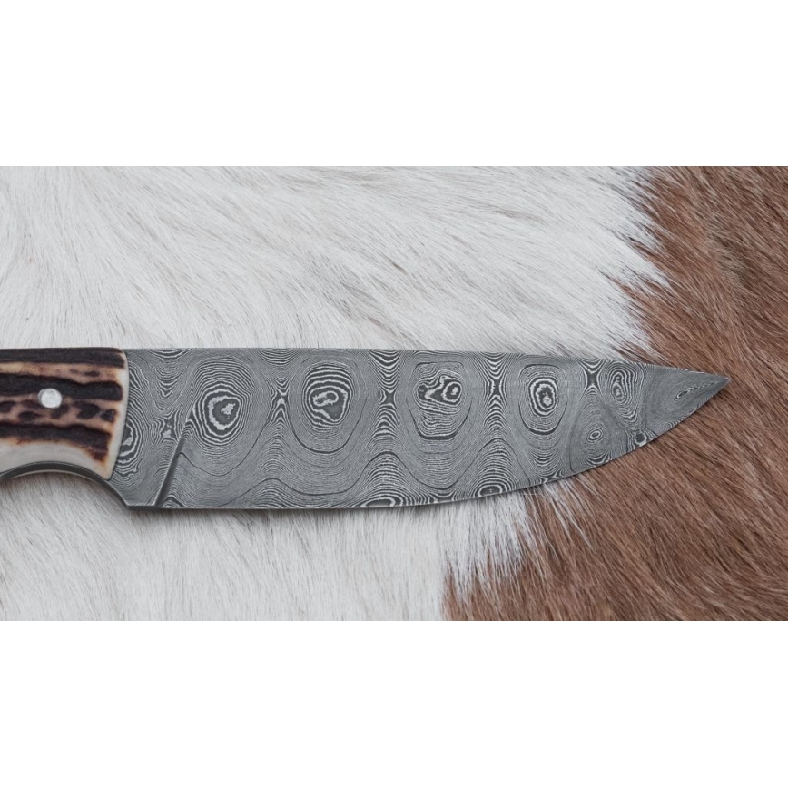 Coltello da caccia in damasco con mini sega 11 cm corno di cervo