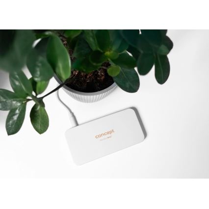 Concept KZ2010 - Specchietto cosmetico tascabile a LED PERFECT SKIN LED/1,5W/5V 4500-5500K 300 mAh bianco