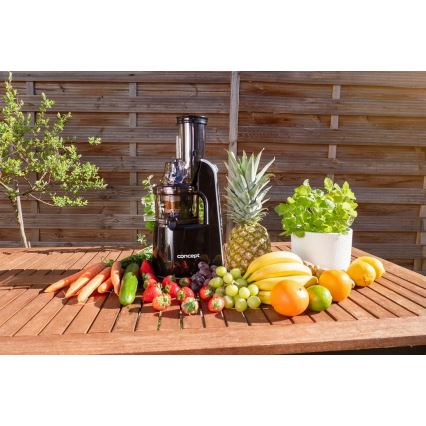 Concept LO7067 - Estrattore di succo a coclea 3-in-1 240W/230V nero