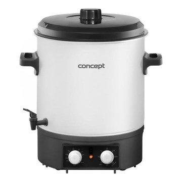 Concept ZH0030 - Conservazione della caldaia 27 l 2000W/230V bianco/nero