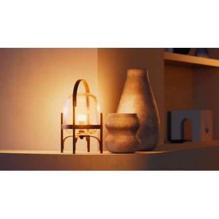 Confezione da 2 lampadine LED dimmerabili Philips Hue WHITE E27/7W/230V 2700K