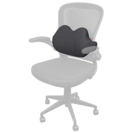 CONNECT IT CFH-5502-GY - Lumbar sedia support antracite