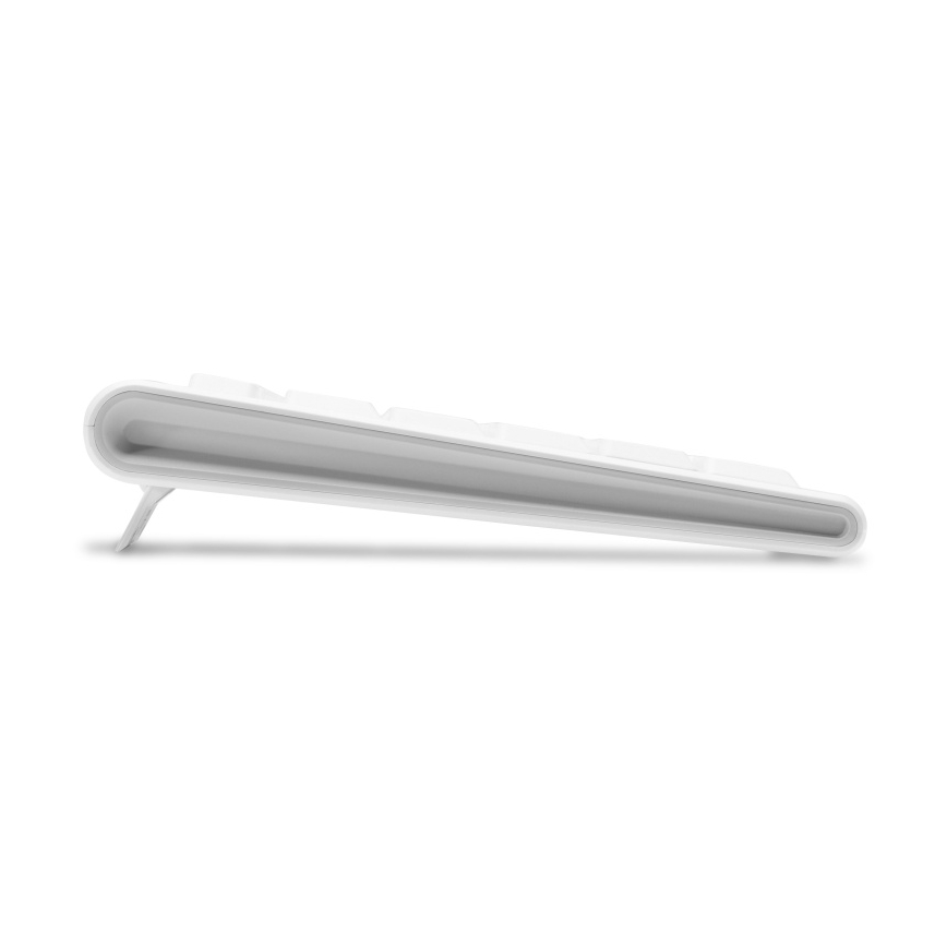CONNECT IT CKB-3010-CS - Tastiera multimediale senza fili con localizzazione CZ/SK 2xAAA bianco