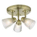 Där Lighting CED7675 - Faretto da bagno CEDRIC 3xG9/25W/230V IP44 ottone