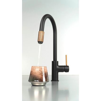 Deante BCA_B64M - Miscelatore per lavello ASTER nero/ottone