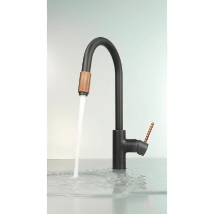 Deante BCA_B64M - Miscelatore per lavello ASTER nero/ottone