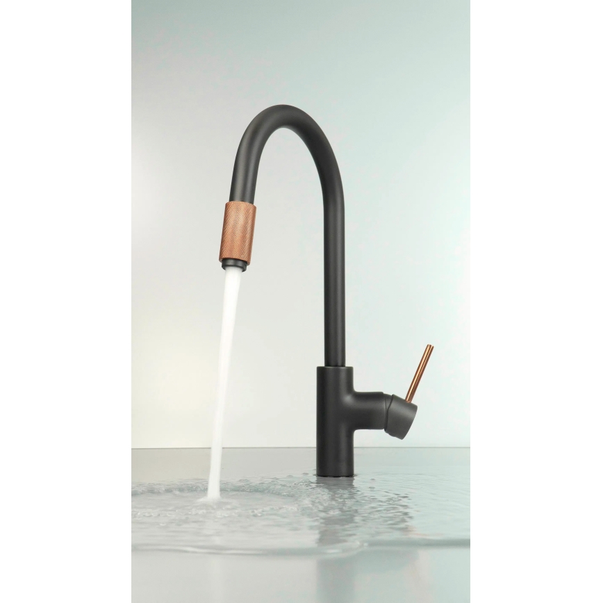 Deante BCA_B64M - Miscelatore per lavello ASTER nero/ottone