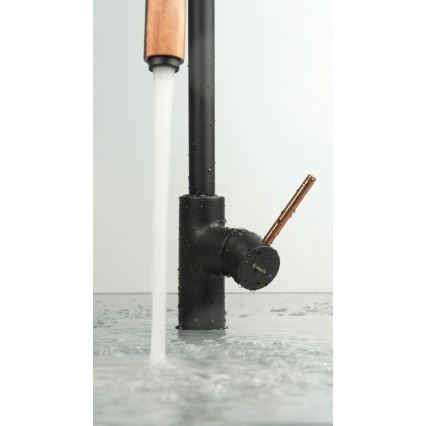 Deante BCA_B64M - Miscelatore per lavello ASTER nero/ottone