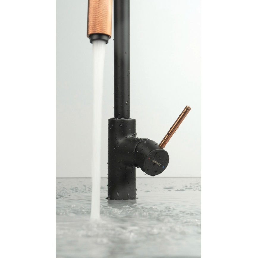 Deante BCA_B64M - Miscelatore per lavello ASTER nero/ottone