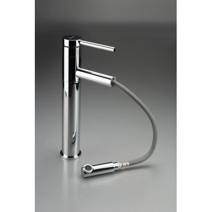 Deante BGE_022K - Miscelatore per lavabo ORA con doccetta estraibile, 30,9 cm, cromo lucido