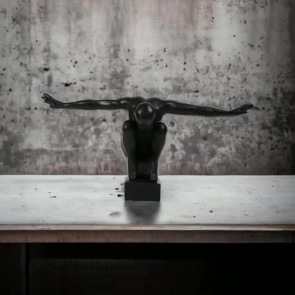 Decorazione da tavolo 25x41x20 cm resina/nero