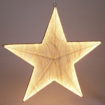 Decorazione natalizia a LED 248xLED/6W/230V 59 cm stella, bianco caldo/dorata