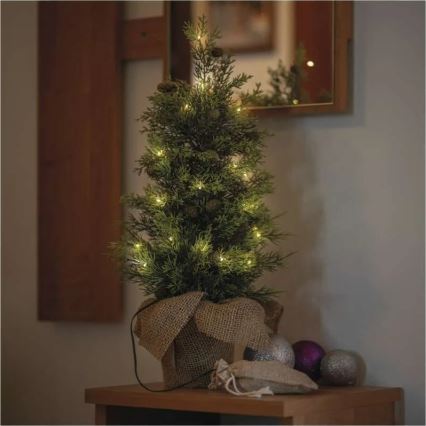 Decorazione natalizia a LED 30xLED/3xAA IP44