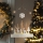 Decorazione natalizia LED LED/2xAA foresta con cervi