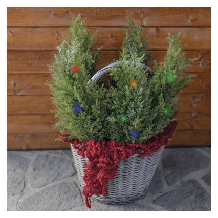 Decorazione solare a LED 50xLED/3W/1,2V 600 mAh IP44