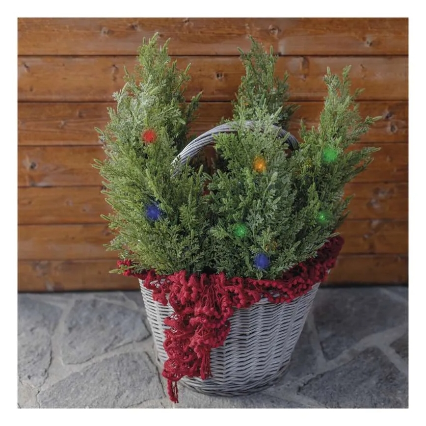 Decorazione solare a LED 50xLED/3W/1,2V 600 mAh IP44