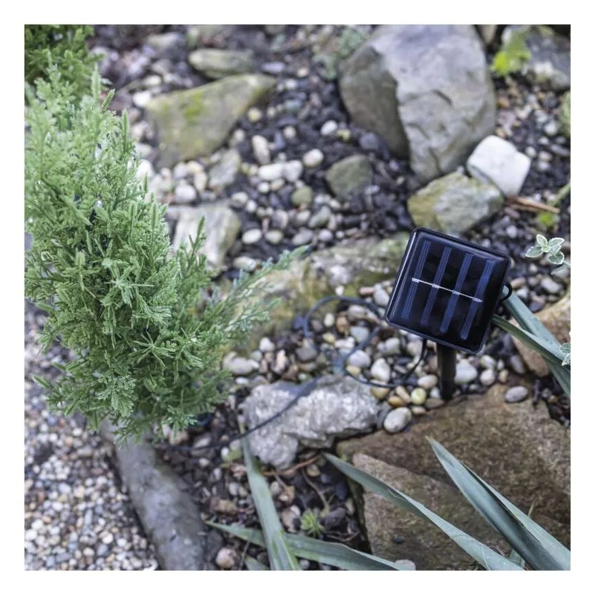Decorazione solare a LED 50xLED/3W/1,2V 600 mAh IP44