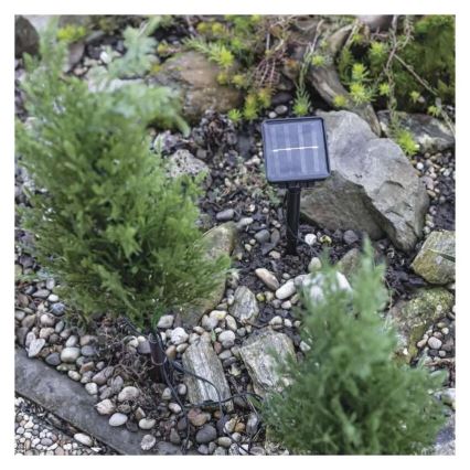 Decorazione solare a LED 50xLED/3W/1,2V 600 mAh IP44