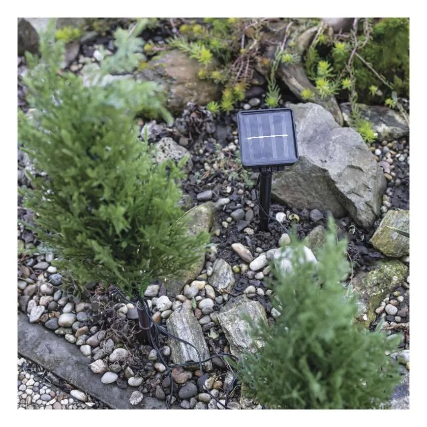 Decorazione solare a LED 50xLED/3W/1,2V 600 mAh IP44