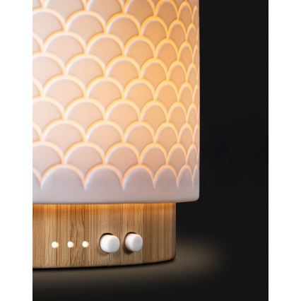 Diffusore Aroma Ultrasonico LED Lanaform 5V 280 ml USB