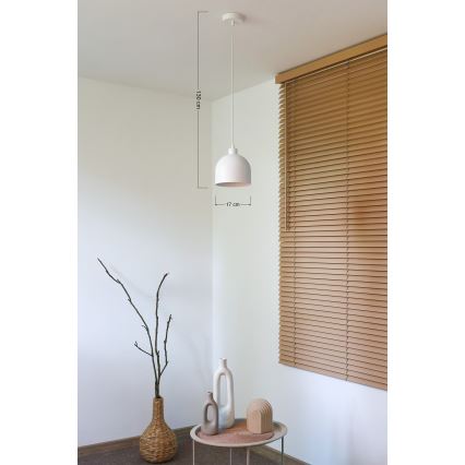 Duolla - Lampadario a sospensione su cavo IRONLINE 1xE27/15W/230V diam. 17 cm bianco