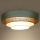 Duolla - Plafoniera LED LUNETA LED/26W/230V diametro 60 cm 4000K turchese/beige/color crema