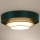 Duolla - Plafoniera LED LUNETA LED/26W/230V diametro 60 cm 4000K verde/oro/bianco
