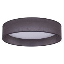 Duolla - Plafoniera LED ROLLER LED/24W/230V antracite