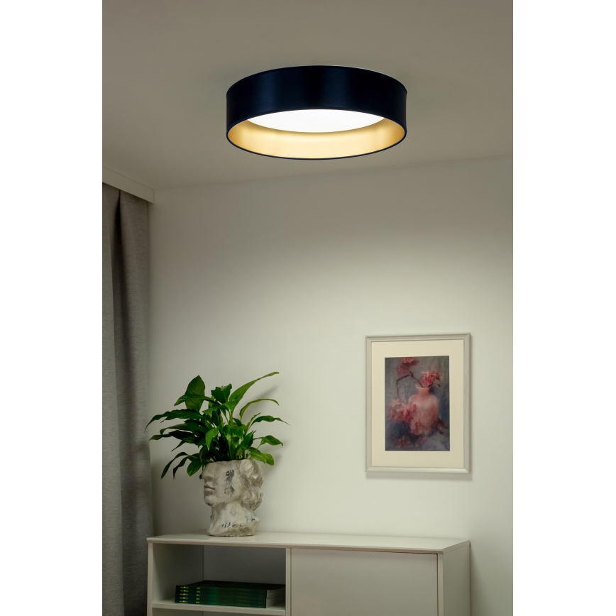 Duolla - Plafoniera LED ROLLER LED/24W/230V diametro 45 cm blu/oro
