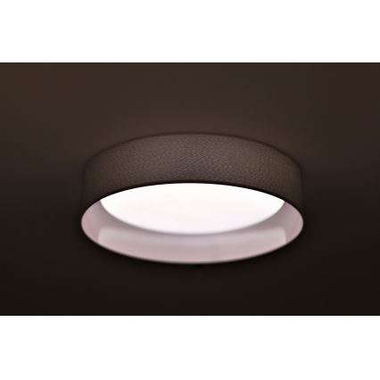 Duolla - Plafoniera LED ROLLER LED/24W/230V diametro 45 cm grigio chiaro