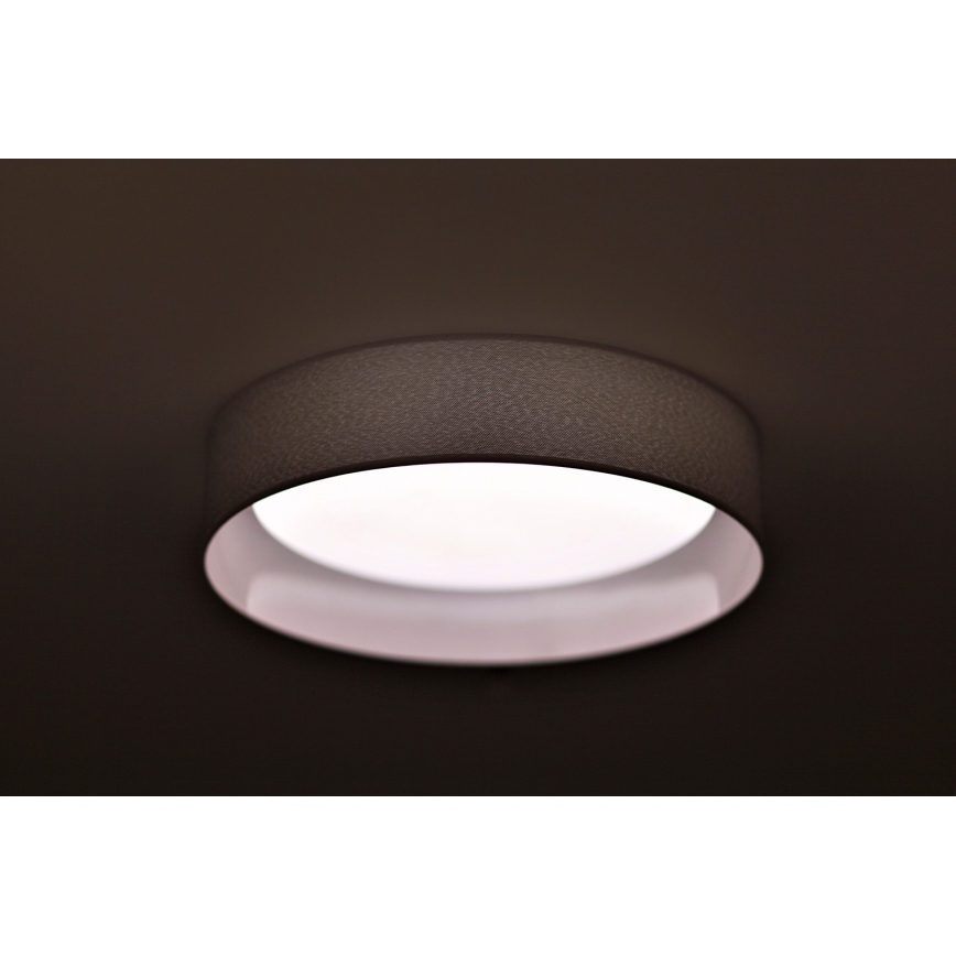 Duolla - Plafoniera LED ROLLER LED/24W/230V diametro 45 cm grigio chiaro