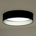 Duolla - Plafoniera LED ROLLER LED/24W/230V nero/argento