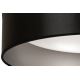 Duolla - Plafoniera LED ROLLER LED/24W/230V nero/argento
